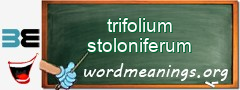 WordMeaning blackboard for trifolium stoloniferum
